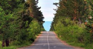 Read more about the article “Ногоон Дархан 2032″хөтөлбөрийн хүрээнд төрийн албан хаагчдын төгөлтэй болно.