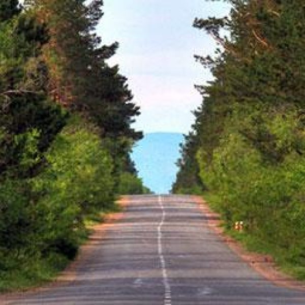 “Ногоон Дархан 2032″хөтөлбөрийн хүрээнд төрийн албан хаагчдын төгөлтэй болно.