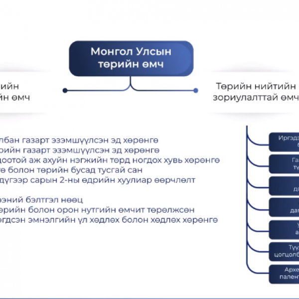Төрийн болон орон нутгийн өмчийн ашиглалт, зарцуулалтад хяналт, шалгалт хийх