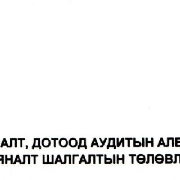 2024 ОНД ХИЙХ ДОТООД АУДИТЫН ТӨЛӨВЛӨГӨӨ