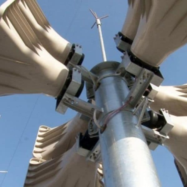 ГАМШГИЙН ҮЕИЙН ЗАРЛАН МЭДЭЭЛЛИЙН ДУУТ ДОХИОГООР ДАДЛАГА СУРГУУЛИЛТАД ХАМРАГДЛАА