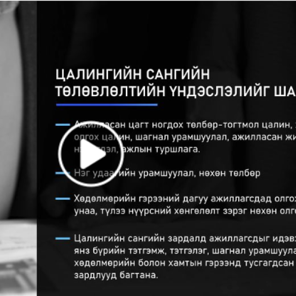 Цалин хөлсний тогтоолт, тооцоололт, олголтыг шалгахад анхаарах асуудлын талаар