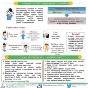 Read more about the article ЭЦЭГ, ЭХЧҮҮДИЙН АНХААРАЛД