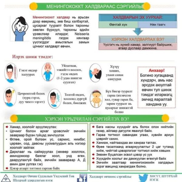 ЭЦЭГ, ЭХЧҮҮДИЙН АНХААРАЛД