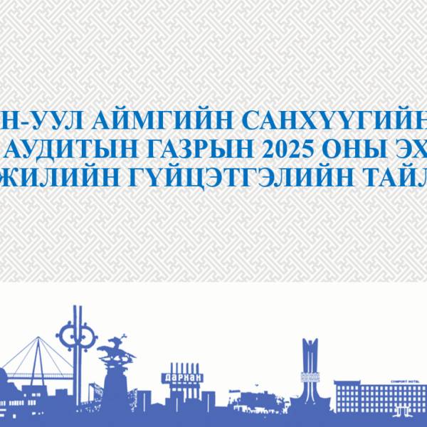 Гүйцэтгэлийн тайлан 2025 оны эхний хагас жил