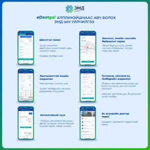 Read more about the article 