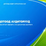 Дотоод аудиторууд бол зөвхөн алдаа, зөрчил илрүүлэгчид биш.